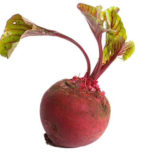包邮【基地直发】 有机蔬菜 现摘现发甜菜根4斤/6斤/10斤装欧盟认证 商品图5