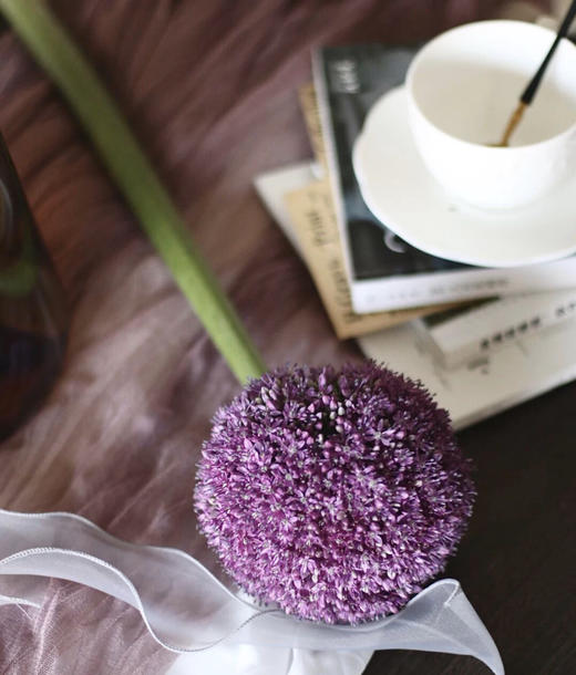 荷兰葱花 商品图2