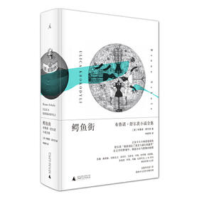 鳄鱼街-布鲁诺.舒尔茨小说全集
