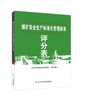 煤矿安全生产标准化管理体系评分表 商品缩略图0