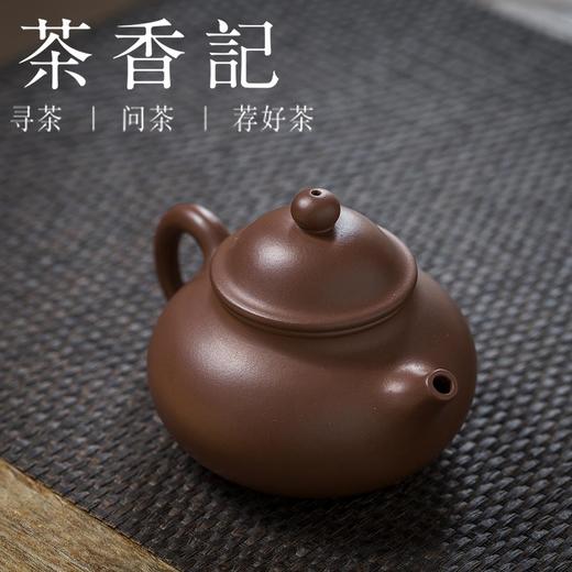 茶香记 紫泥容天紫砂壶 杨飞 老紫泥 主泡器 全手工 大肚能容 气度万千 商品图1