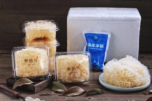 （5朵送1朵）鲜银耳5颗装（单朵120g以上） 商品图2