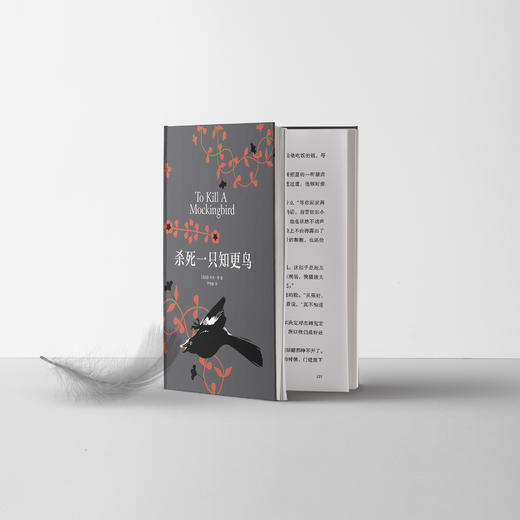 《杀死一只知更鸟》 商品图2