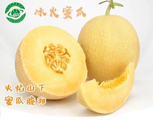 冰火蜜瓜，至爱哈密瓜，脆甜多汁，甜度高，香气足，18+以上糖度，6-7斤2-3个装，顺丰包邮 商品图0