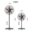 先锋（SINGFUN）电风扇/落地扇/工业风扇/立式大风量风扇FS45-19A 黑色【XF】产地直发  商品缩略图3