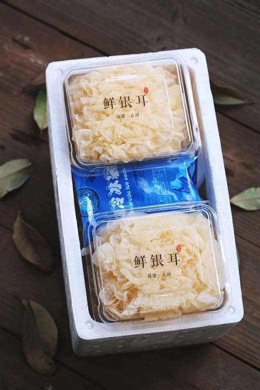 （5朵送1朵）鲜银耳5颗装（单朵120g以上） 商品图1