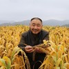 陕北窑洞老种小米，古法种植，不同于市面上的小米，粘稠度极高，香味浓郁 2袋10斤装 百世汇通全国包邮 商品缩略图3