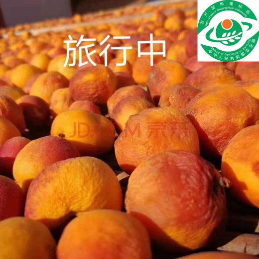 树上杏干 商品图1