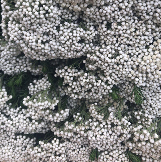 米花粉 商品图1