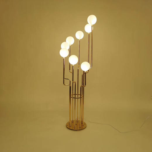 8头T型步步高明珠路引【运费自理】 商品图1