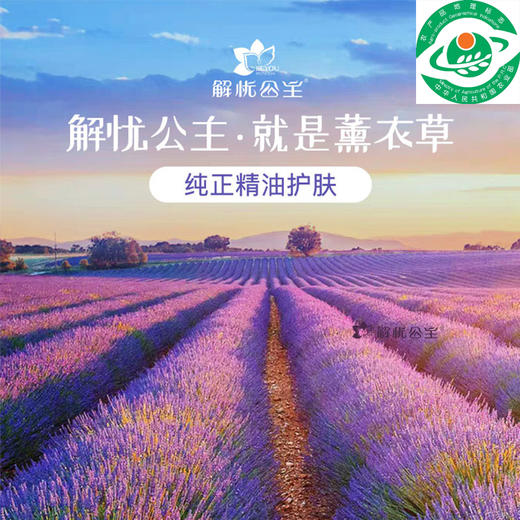 薰衣草精油原料 商品图4