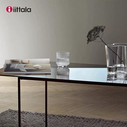 Iittala伊塔拉极冻系列Thule大威士忌酒杯二件装280ml 商品图1