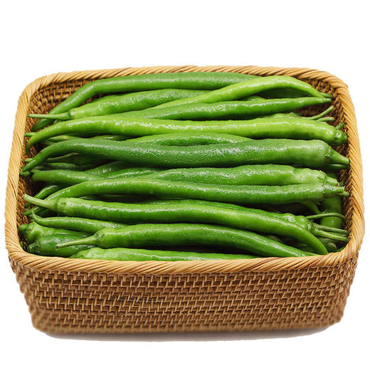 农家新鲜长线椒 露天现摘青辣椒 辛辣爽口