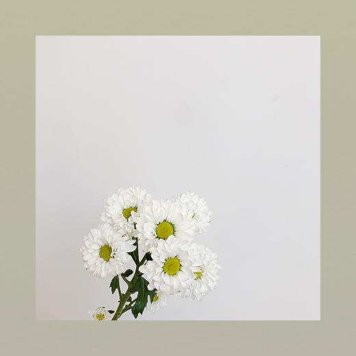 雏菊🌼 商品图5