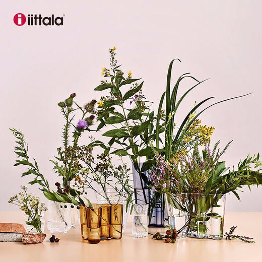 Iittala伊塔拉传奇湖泊系列-进口北欧手工摆件透明花瓶160mm 商品图1