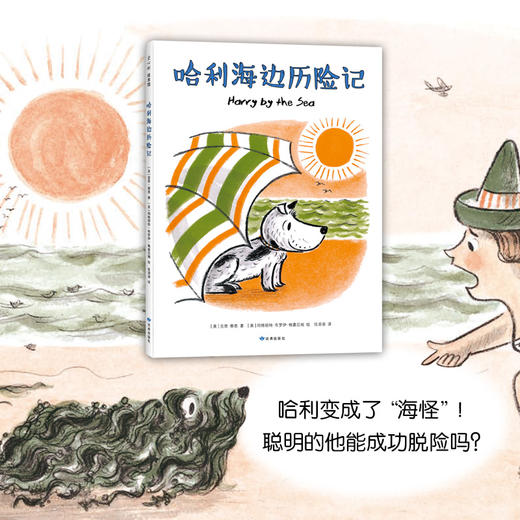 哈利海边历险记 商品图2