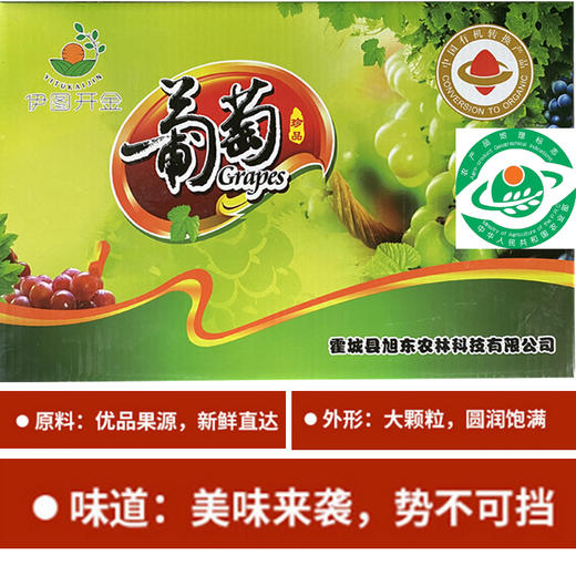 伊图开金葡萄干500g*2 任选2种葡萄干 商品图1