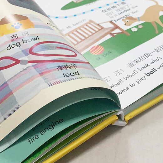 DK儿童双语词汇1000 点读版 专为学龄前儿童和小学生打造的双语词汇宝典 商品图3