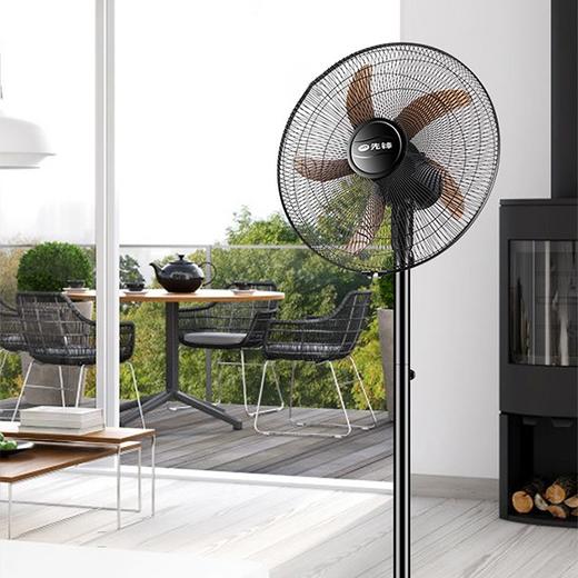 先锋（SINGFUN）电风扇/落地扇/工业风扇/立式大风量风扇FS45-19A 黑色【XF】产地直发  商品图1