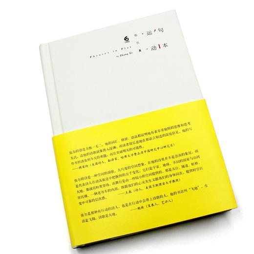 句本运动 张尔 诗歌集 壮游图 飞地 六点图书 精装 商品图1