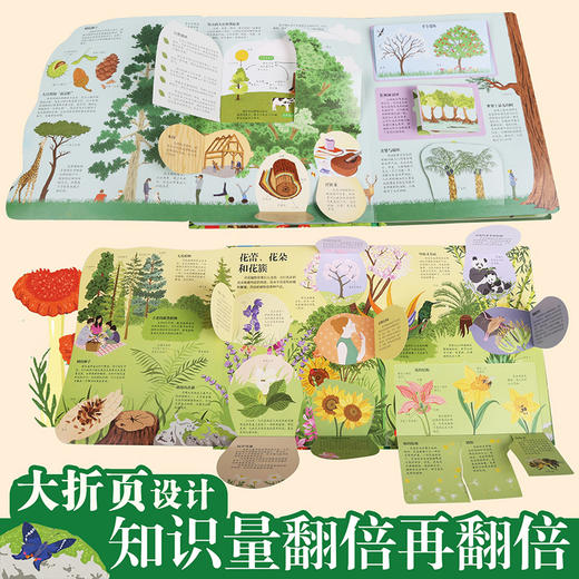 乐乐趣揭秘翻翻书系列第六辑（共3册）原价：206.4 商品图4