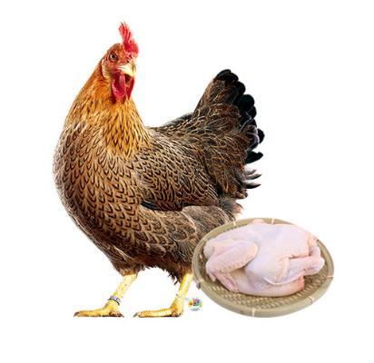 苏食清远皇后鸡900g【清热降噪】【025】 商品图1