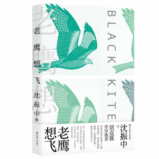 老鹰想飞 商品图0