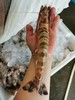 东海竹节虾，新鲜度可见，口感鲜美，浙江发货，满150元江浙沪包邮，外省补30元运费 商品缩略图0