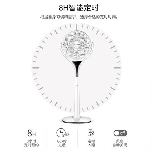 先锋 空气循环扇/电风扇/蒲扇/遥控落地扇静音风扇FPS30-18BR产地直发  商品图4