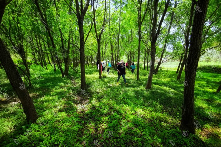 【周日|轻徒步|行摄】 轻松行走