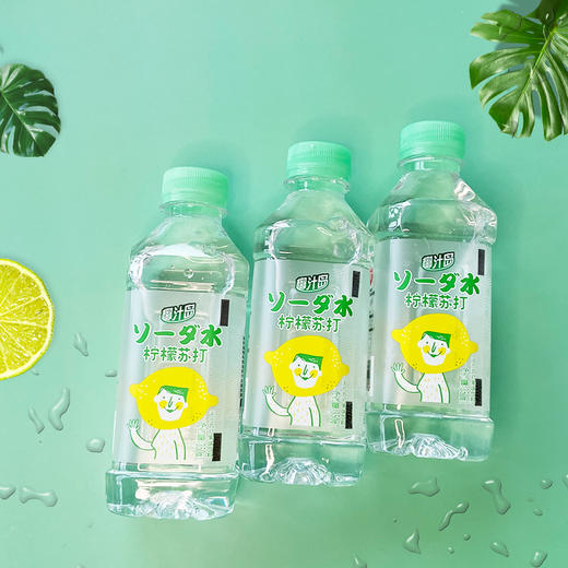 350ml*12瓶椰汁岛苏打水无糖苏打水（原味） 商品图2