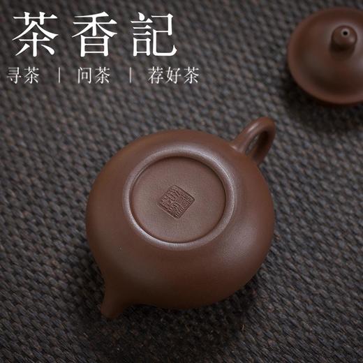 茶香记 紫泥容天紫砂壶 杨飞 老紫泥 主泡器 全手工 大肚能容 气度万千 商品图4