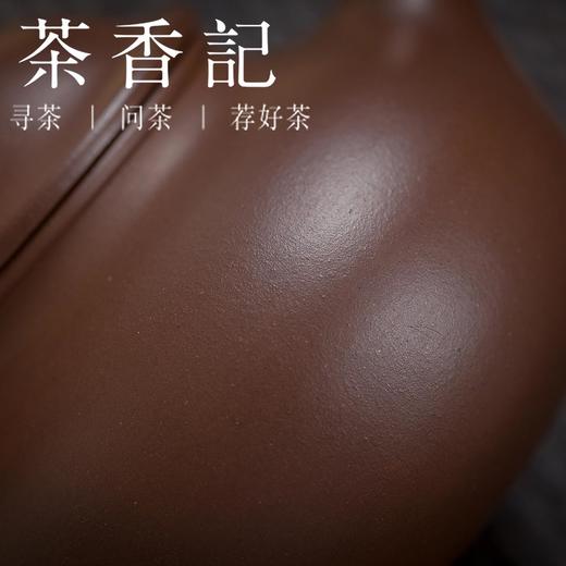 茶香记 紫泥容天紫砂壶 杨飞 老紫泥 主泡器 全手工 大肚能容 气度万千 商品图2