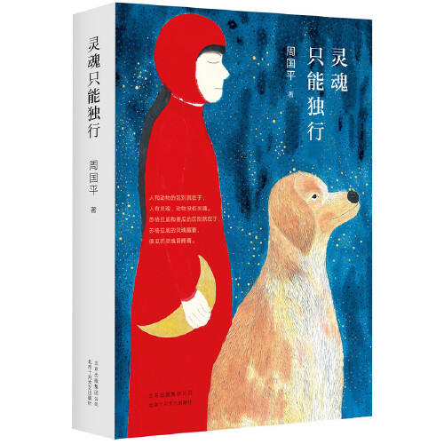 灵魂只能独行 商品图0