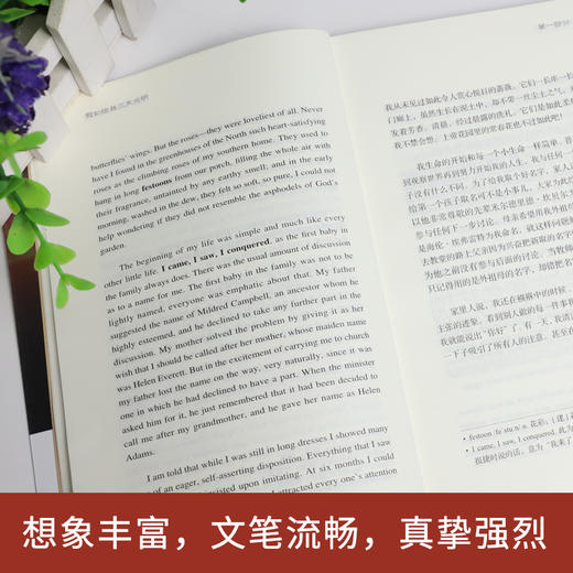 假如给我三天光明 英汉对照注释版 Three Days to See 全英文版 世界经典文学名著系列 昂秀书虫 商品图4