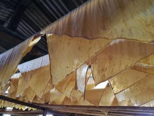 炭火煮浆 石屏豆腐皮豆皮2斤/3斤装 吃过才知道它的好！邮政包邮 商品图9