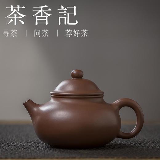 茶香记 紫泥容天紫砂壶 杨飞 老紫泥 主泡器 全手工 大肚能容 气度万千 商品图0