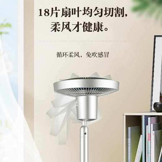 先锋(SINGFUN)空气循环扇/电风扇/家用静音落地扇/空气对流遥控风扇 FC25-20AR【XF】产地直发  商品图2