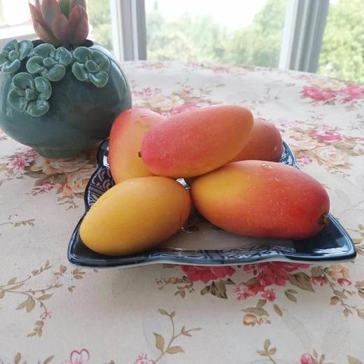 攀枝花小贵妃芒果，5斤装，8斤装，1斤4-10个，礼盒装1斤4-8个，存在大小差异，韵达包邮 商品图0