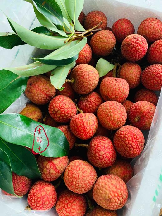 古树白糖罂荔枝贡品皇荔甜到心里净重4斤