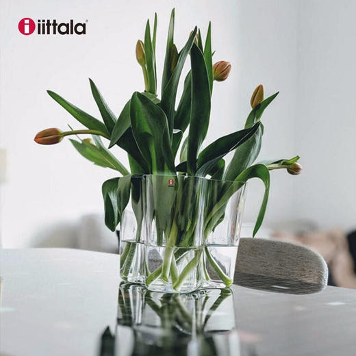 Iittala伊塔拉传奇湖泊系列-进口北欧手工摆件透明花瓶160mm 商品图2