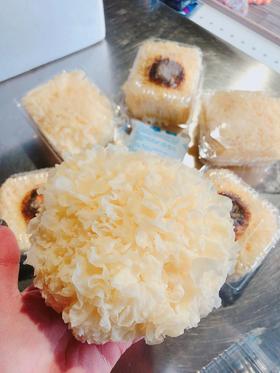 （5朵送1朵）鲜银耳5颗装（单朵120g以上）