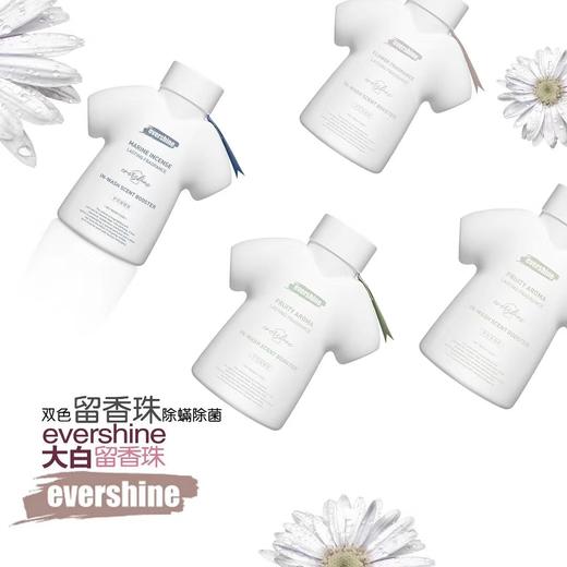 evershine衣物留香珠 持久香味洗衣凝珠除螨衣服香水 商品图7