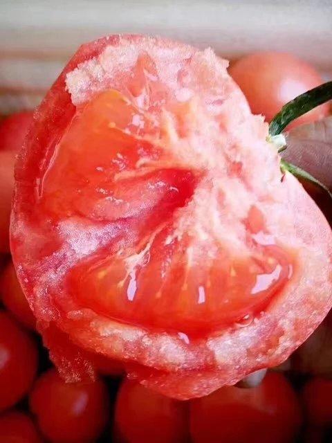 攀枝花西红柿沙软酸甜｜高山口感番茄（炖牛肉必备） 商品图2
