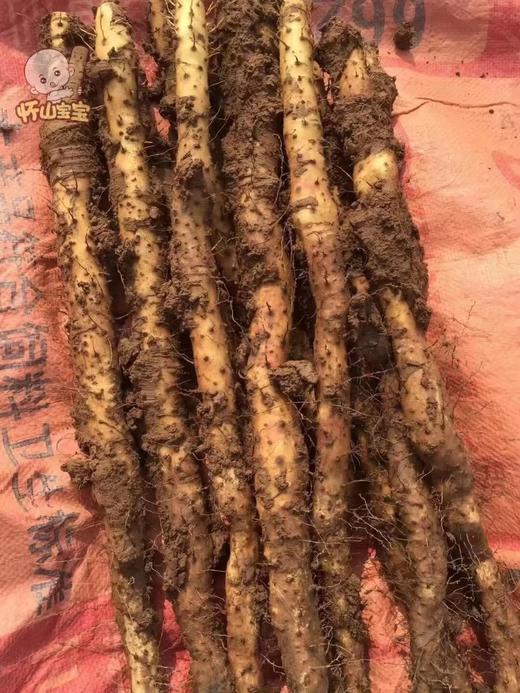 【铁棍山药】 40-50cm，4斤装，约10-13根，汇通包邮 商品图0