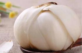 新鲜现挖兰州百合中2斤装百合