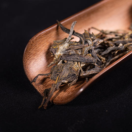 2019年普洱茶 祺丰源名茶典册——新秀名山优选集 200g/饼*6饼 商品图1