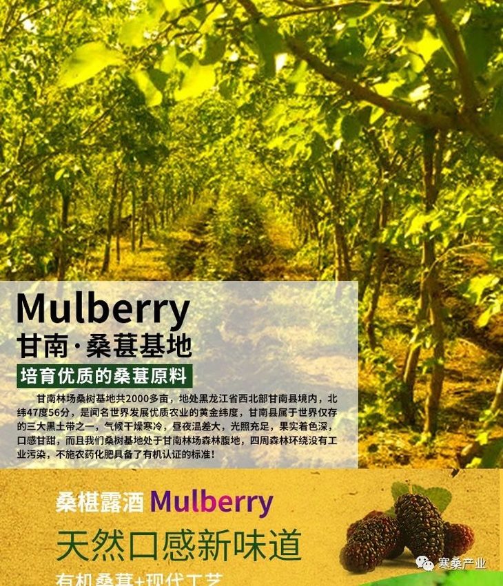 基地直邮紫基黑将军500ml4瓶桑葚酒