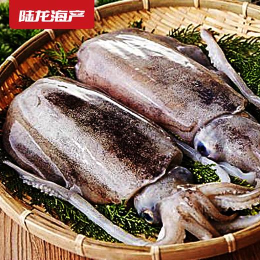 1992陆龙冷冻墨鱼650g 商品图1