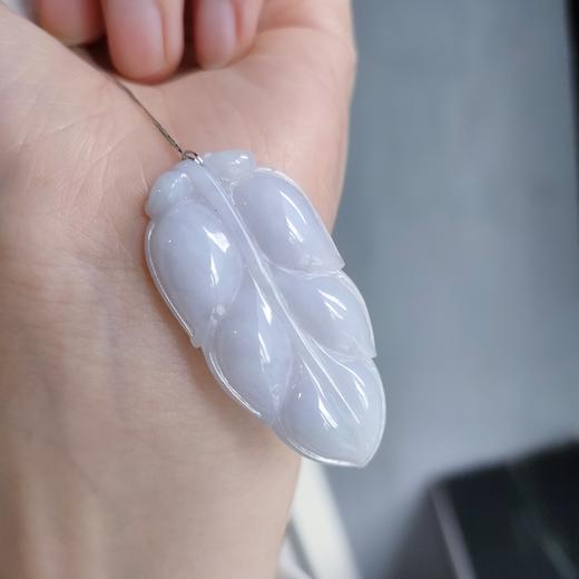 紫花件（金枝玉叶） 商品图0